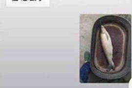 三水工资清欠服务